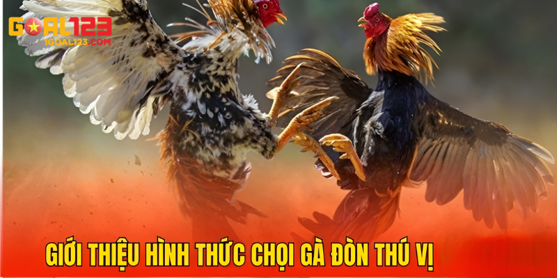 Tổng quan về hình thức chọi gà đòn hấp dẫn tại Goal123