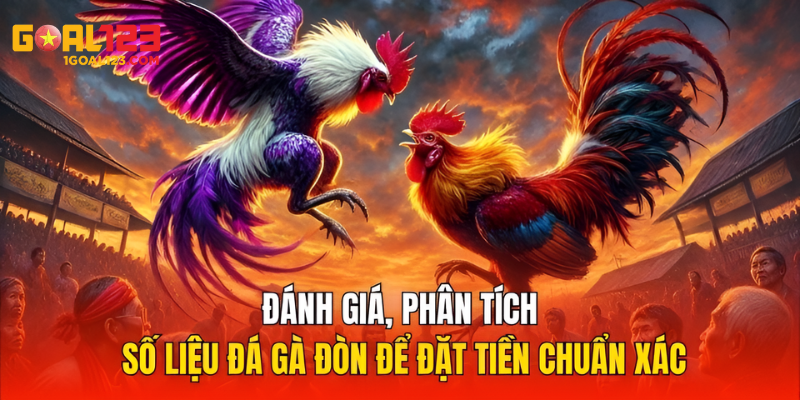 Đánh giá và phân tích dữ liệu đá gà đòn để đặt cược chính xác
